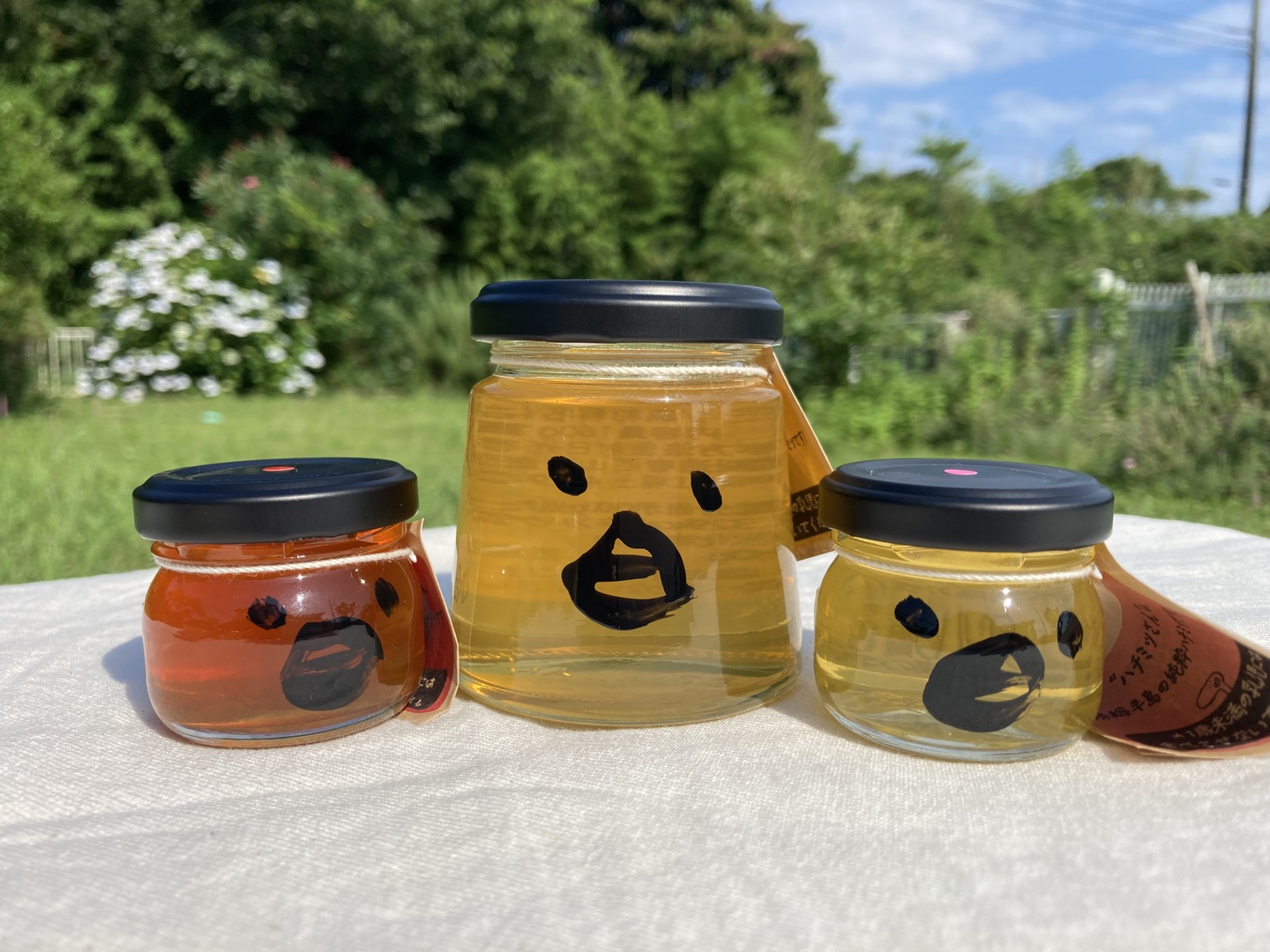 新蜜　日本みつばちの百花蜜（１年物）㊹　550ｇ✕4本（2.2㎏） 新蜜 日本ミツバチの百花蜜（1年以上熟成） 550g✕4本（2.2
