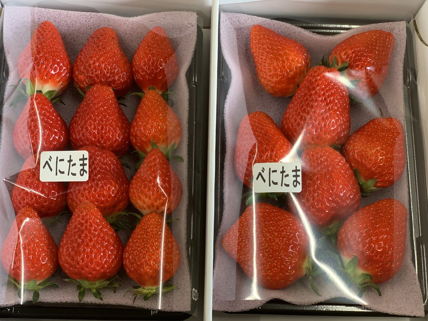 新品種べにたま】2パック(500g) ついに解禁🍓：埼玉県産のべに