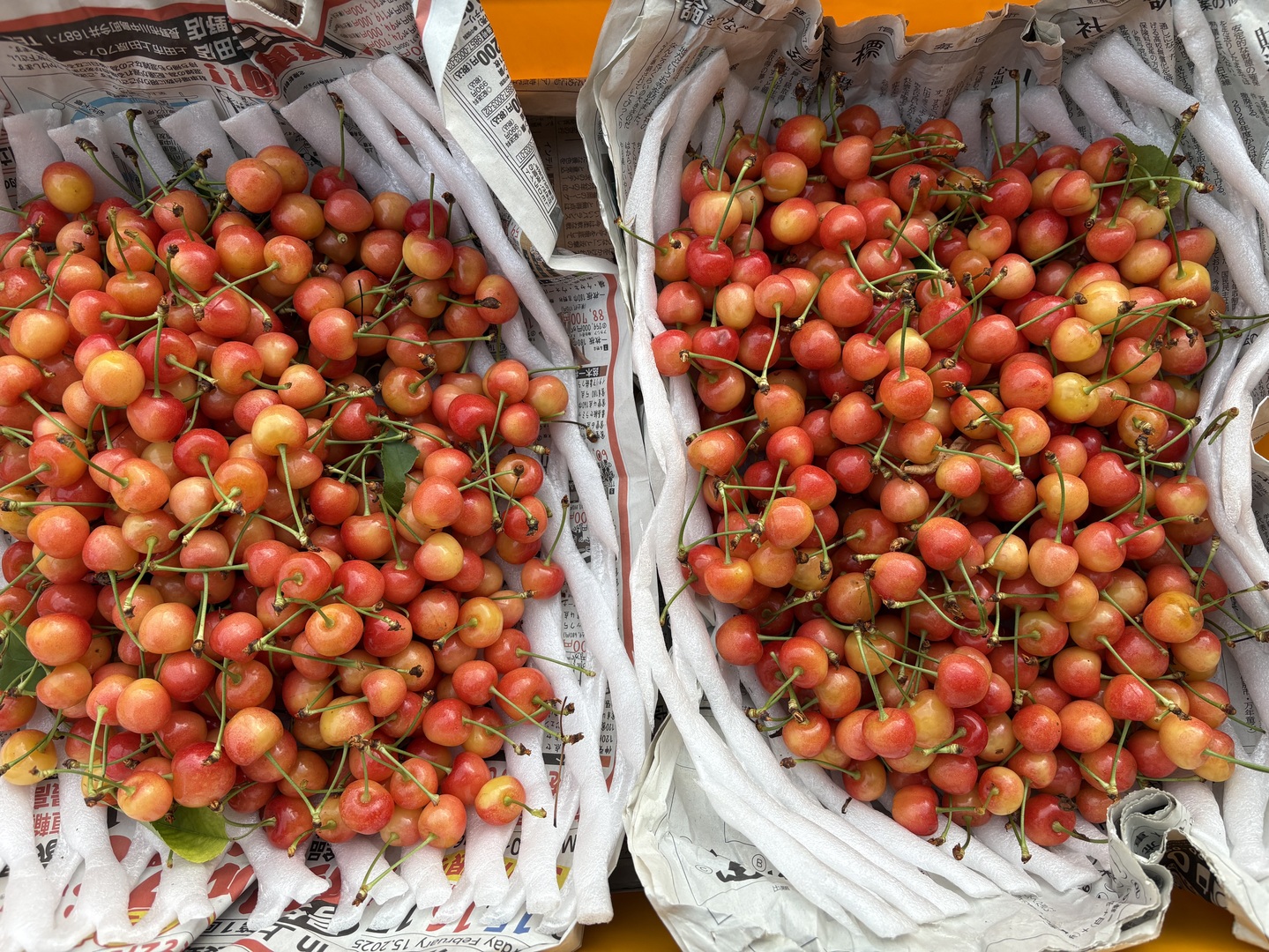 すぐ発送！本州限定【クール便】家庭用 さくらんぼ 2kg(1kg2箱
