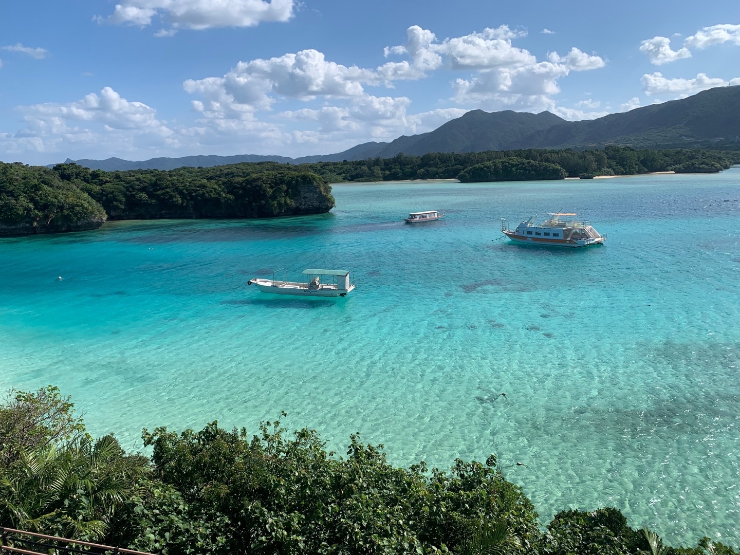 【数量限定】石垣島産サンドルチェ6kg (4-6玉) 2025年予約受付中】サンドルチェ【7月中旬より順次発送】 – i