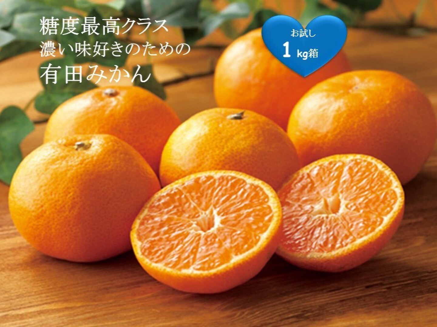 お試し1kg】糖度最高クラス！有田みかん 1キロ箱 和歌山県 有田