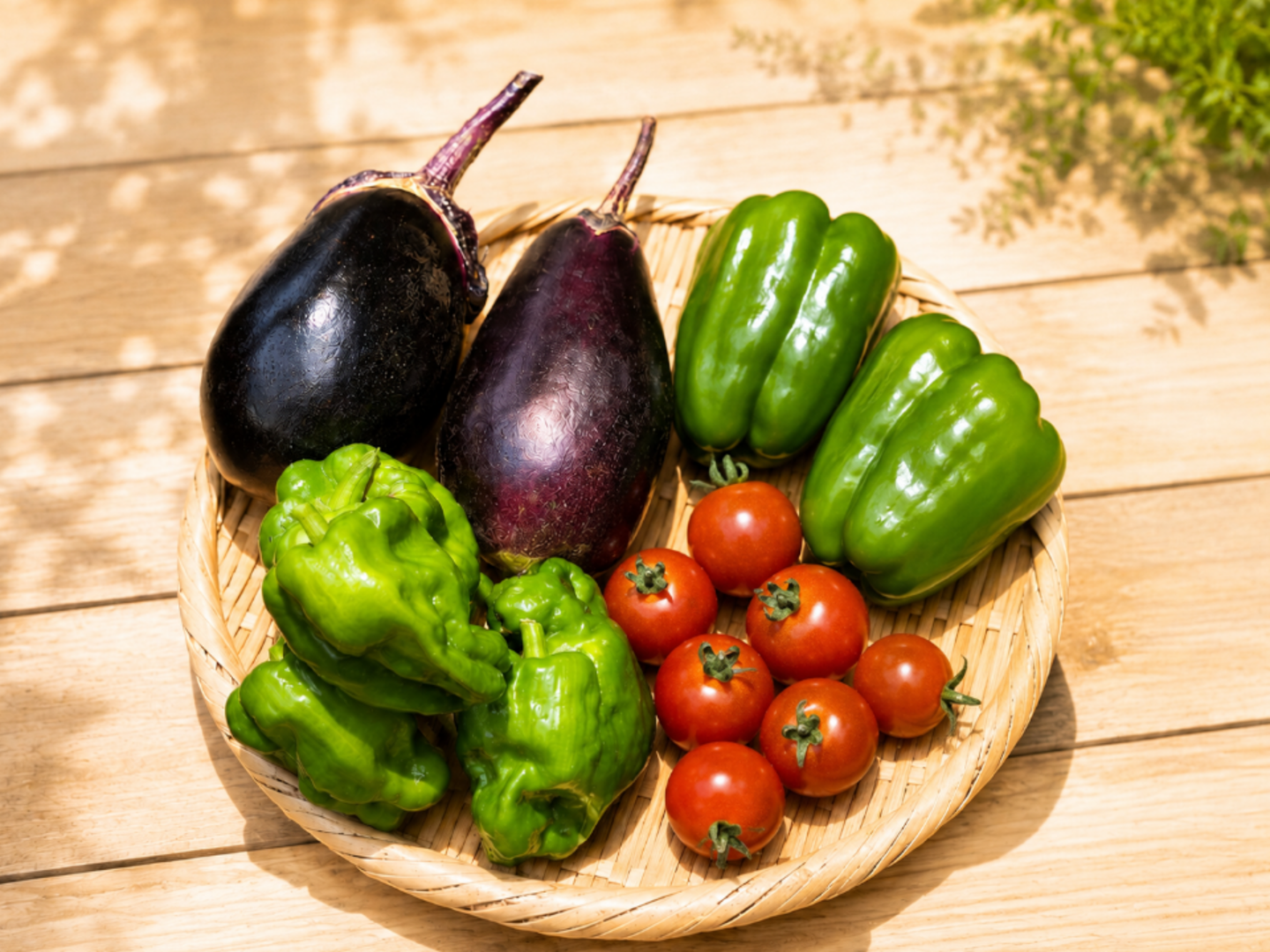 超貴重！固定種野菜セット ナス1kg+ピーマン 0.6kg+ミニトマト0.4kg