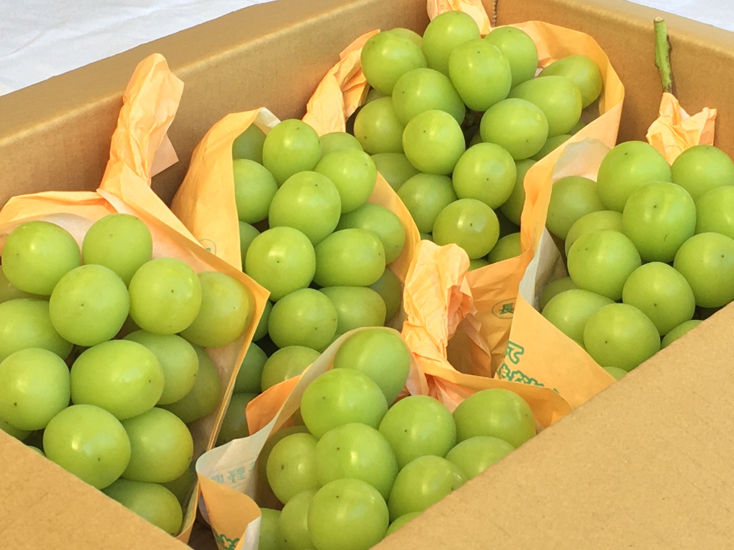 シャインマスカット(粒)約３kg 送料無料】シャインマスカット 3kg｜小布施屋