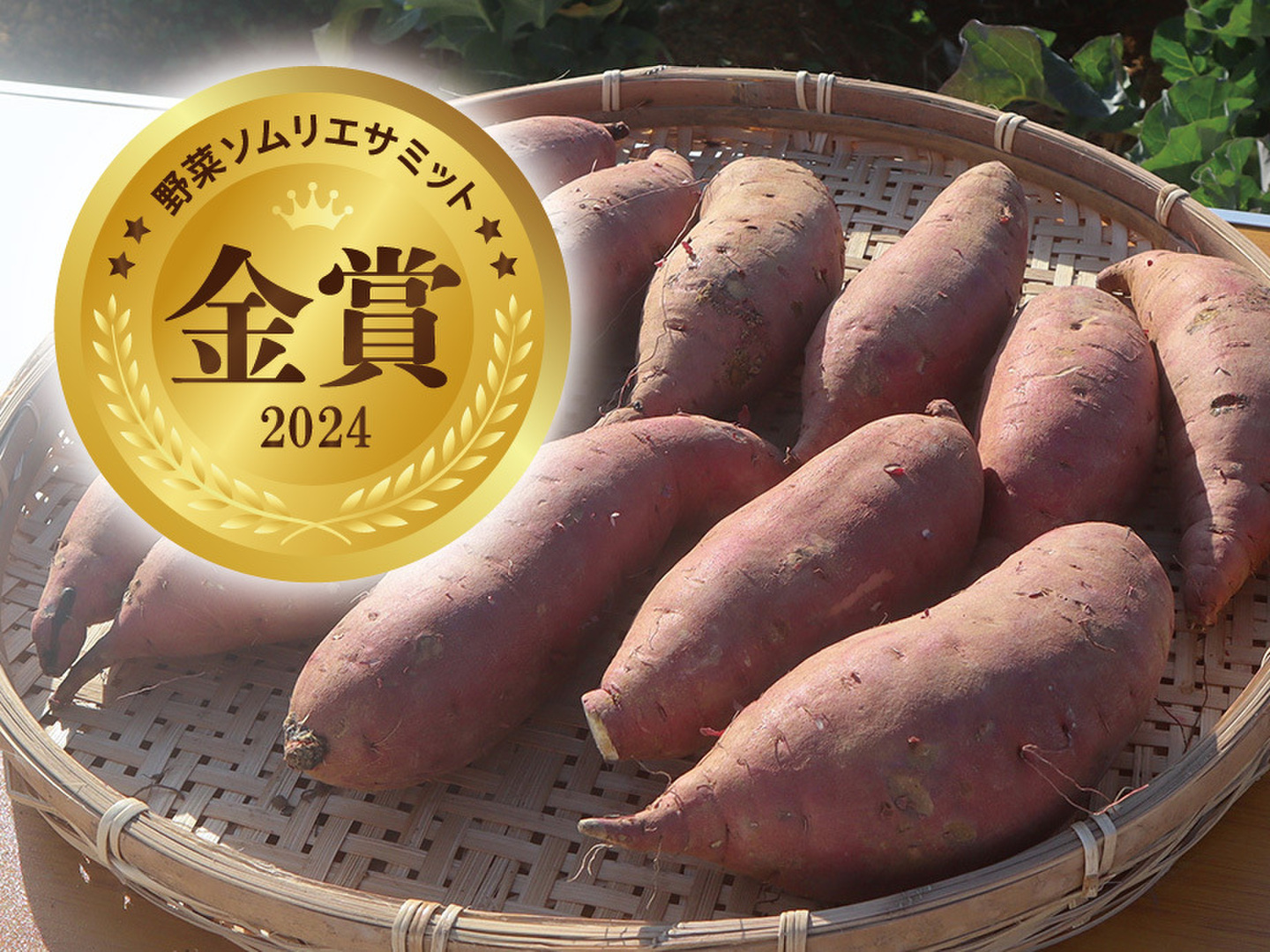 野菜ソムリエサミット金賞！ねっとり甘い熟成「紅はるか」約4.5