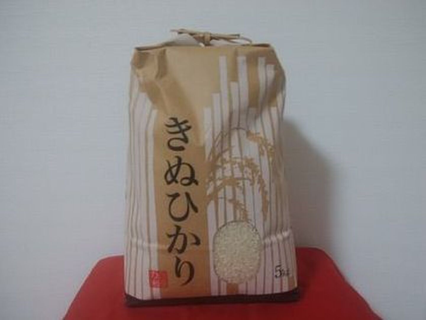 新米 令和7年産 京都産 キヌヒカリ10キロ (5kg×2）：京都府産のお米 