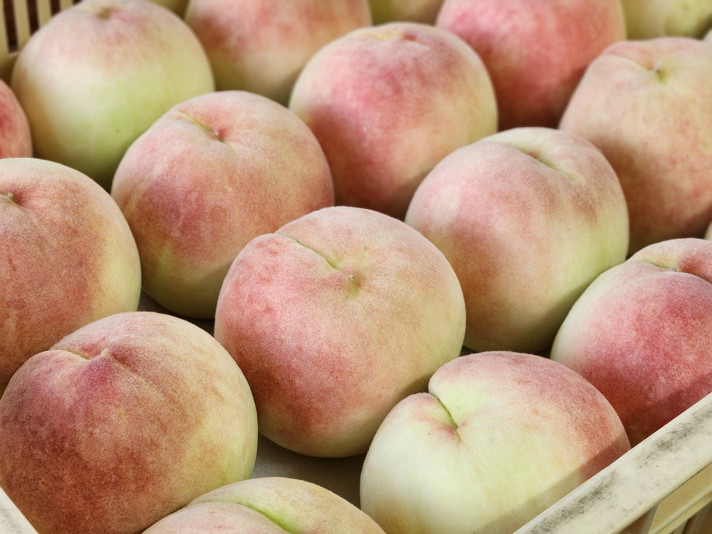 桃のかおり 限定販売】9月の桃！！「夢かおり」2kg：山梨県産のその他桃