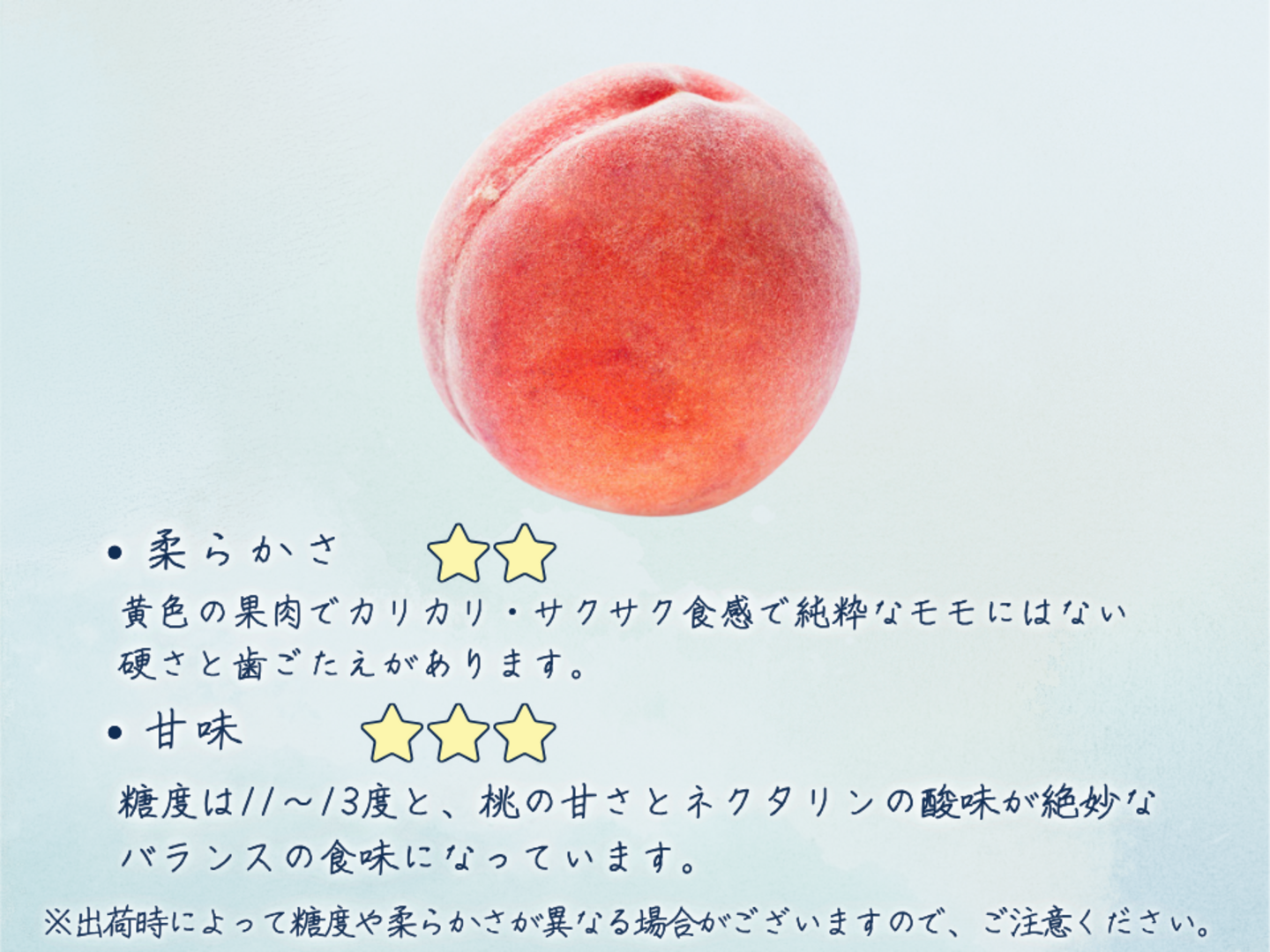 信州産　ワッサー　家庭用　8kg ワッサー 【家庭用】約2.5kg(8-20玉) 硬めの食感が大人気！酸味