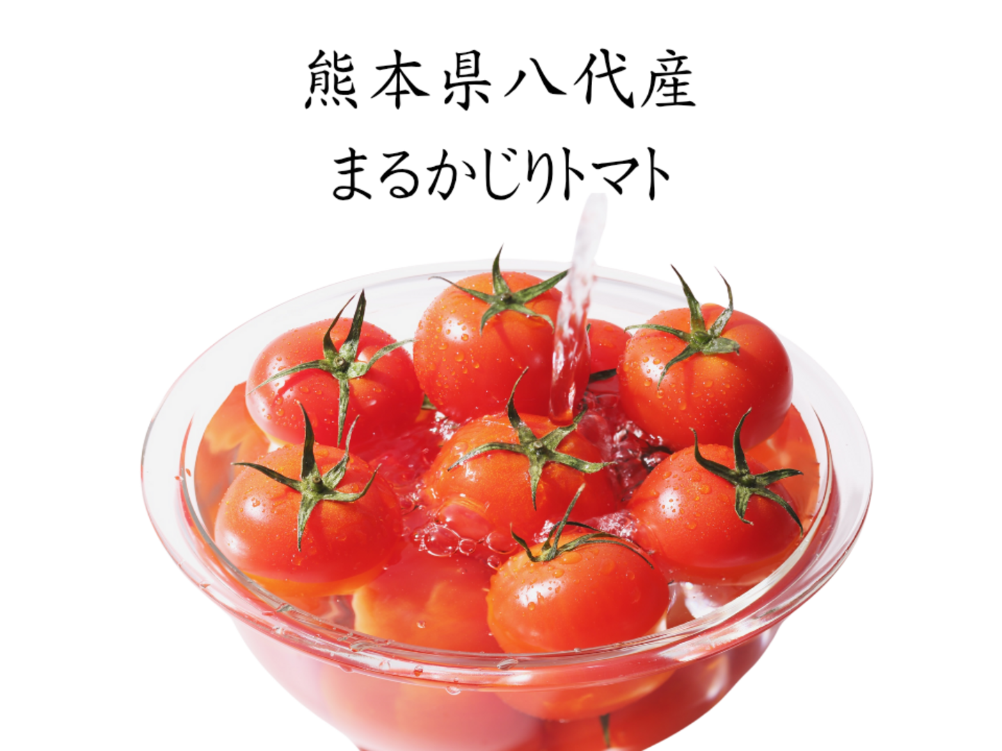熊本県八代産 まるかじりトマト 4kg：熊本県産のその他トマト
