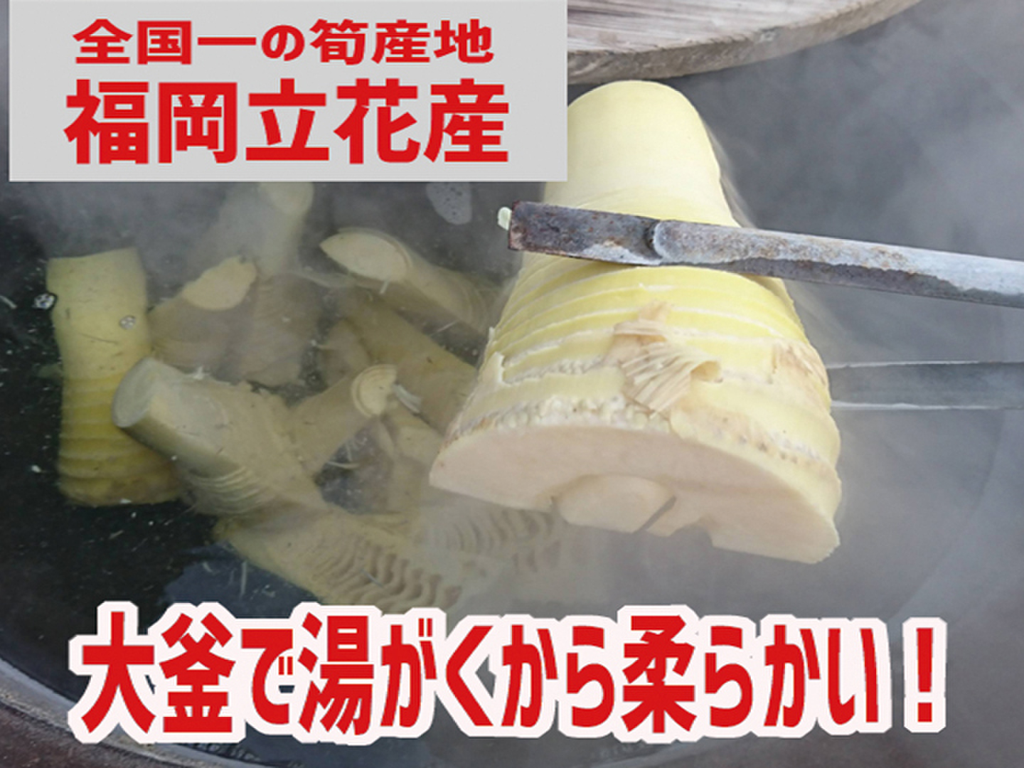 大釜湯がきたけのこ（1.5Kg）：福岡県産の加工品｜食べチョク