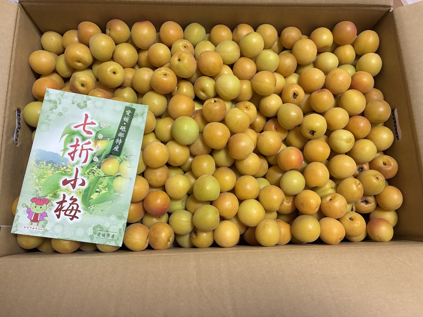 徳島県産小梅七折　3Lサイズ 七折小梅3L 七折産5kg常温陸送便：愛媛県産の七折｜食べチョク｜産地