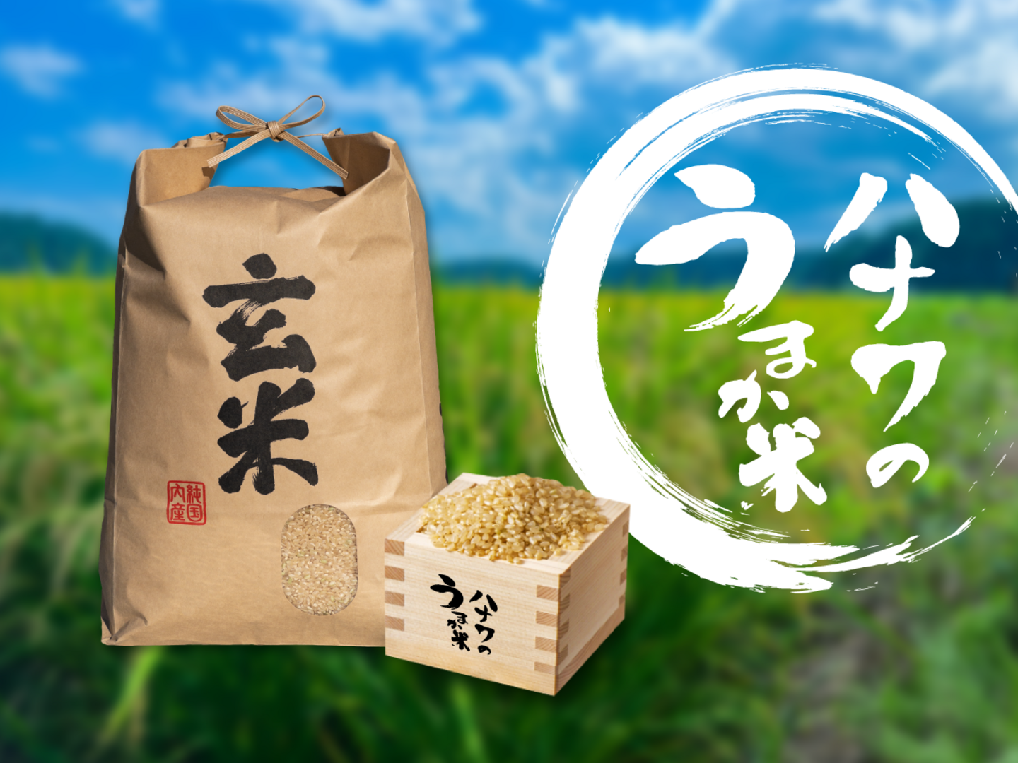 【令和6年新米】多古米 コシヒカリ 30kg（玄米） 令和6年産：千葉県産のお米｜食べチョク｜産地直送(産直)お取り寄せ通販 -  農家・漁師から旬の食材を直送