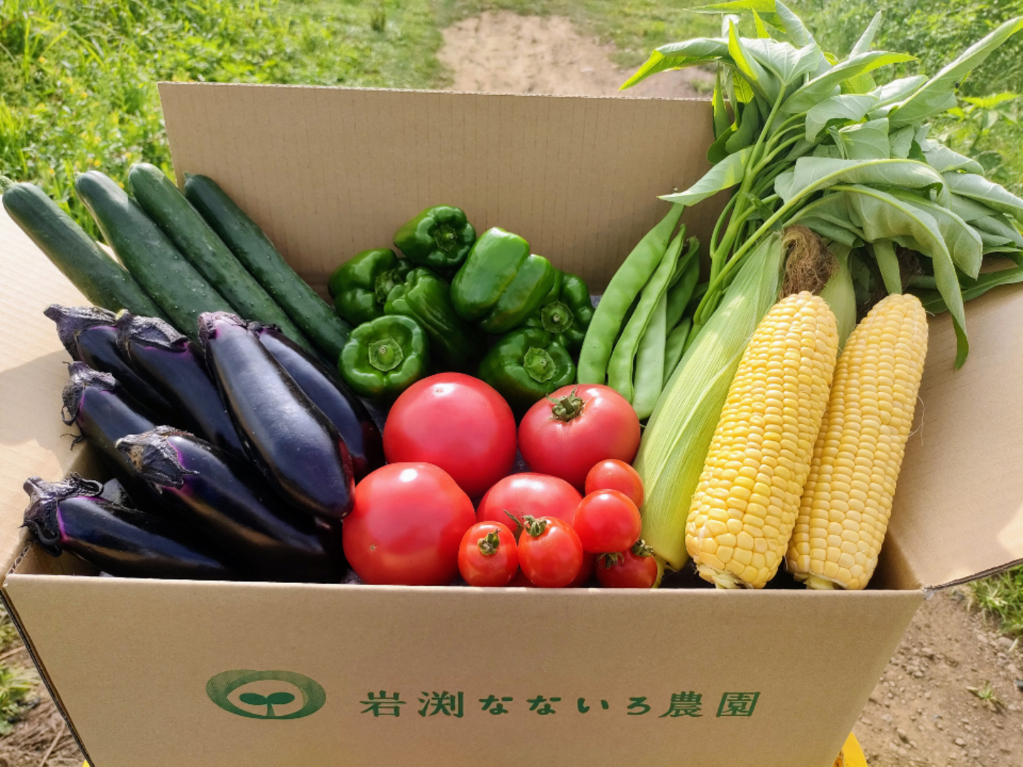9周年感謝祭】信州の高原より、新鮮野菜をお届け！旬の野菜セット7種