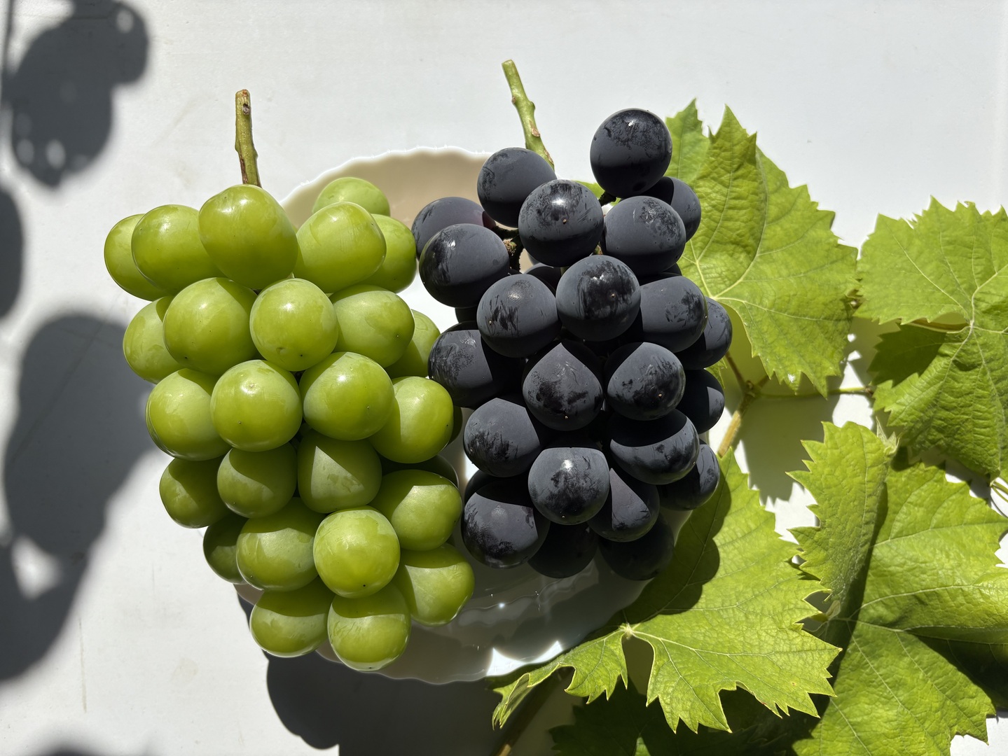 ☆クール便対応可【贈答用】大粒！シャインマスカット・種無し