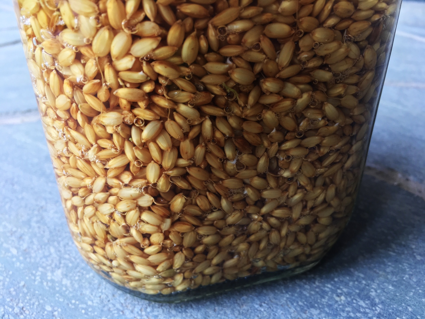 精米後発送!R6年徳島県産農薬不使用アキサカリ2kg(玄米時の 精米後発送!R6年徳島県産農薬不使用アキサカリ2kg(玄米時の