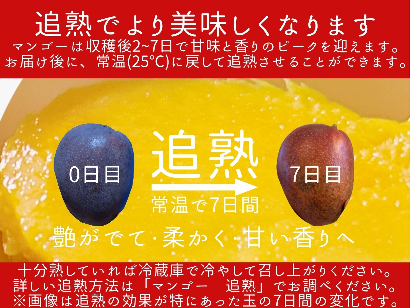 マンゴーの王道！『アーウィン』2.0kg秀品：沖縄県産の