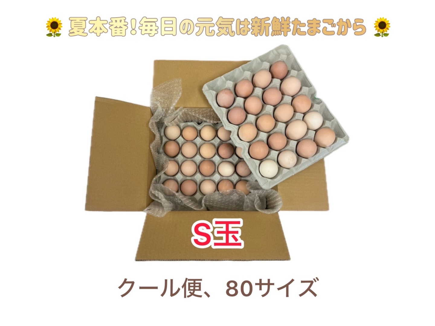 名古屋コーチン 有精卵 100個 保証4個含む サマーセール700円引き🌻コスパ最強S玉🏆平飼い名古屋コーチン【王様の