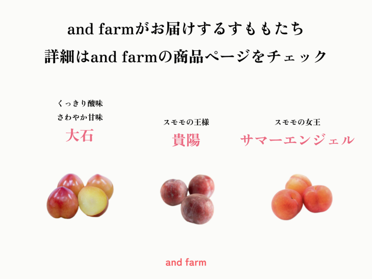 【2025年先行予約】一生に一度は食べたい！王様のひと玉【貴陽】おうち用（すもも）お試しセット 約6玉