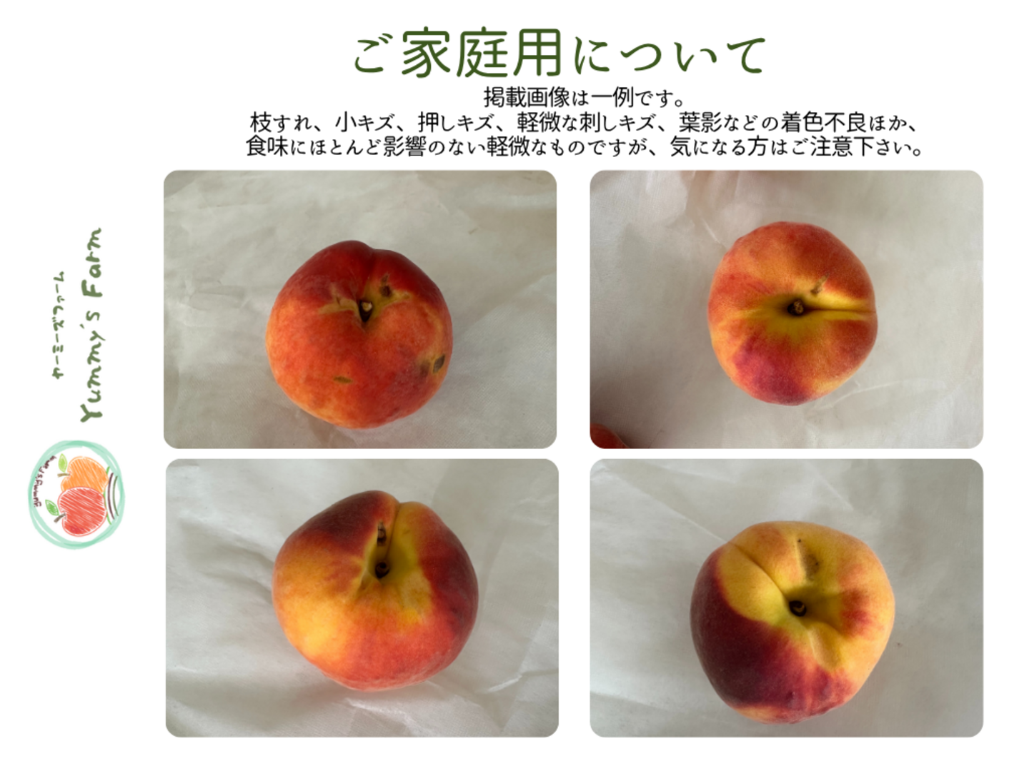 生産農家直送 早生ワッサー 訳ありご家庭用 2kg 長野県産 化学肥料不