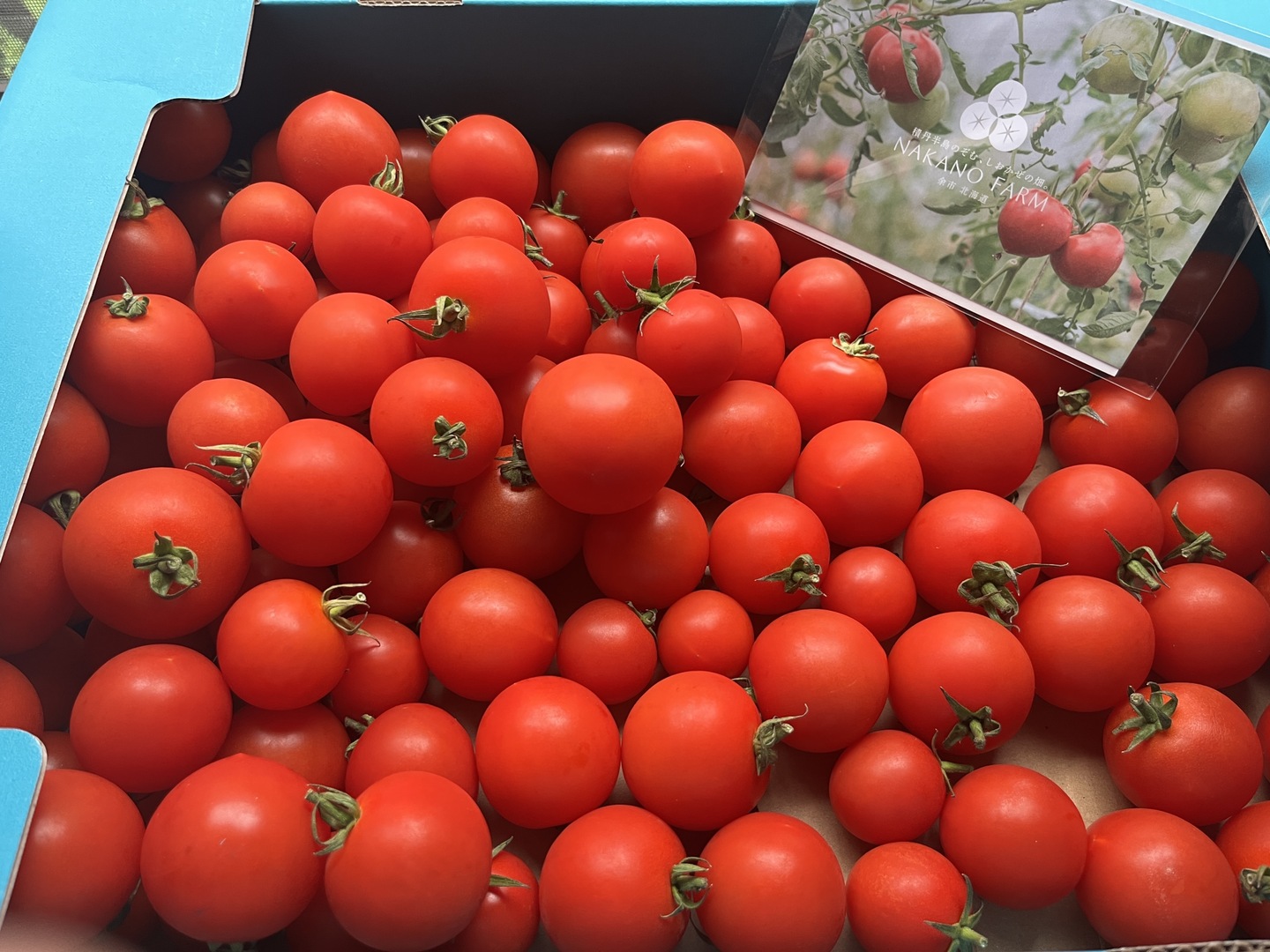 冷蔵便✨訳あり✨ファンゴッホ3kg（中玉トマト）15%増量中！規格外