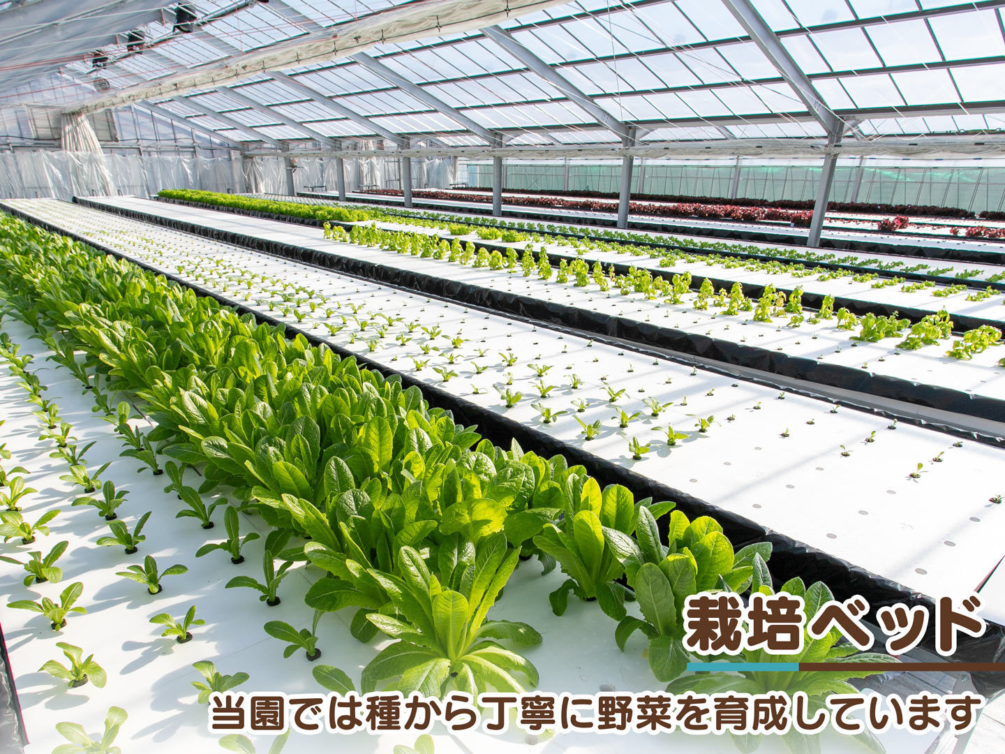 d930d7fa97c04a8d8565385fbab797