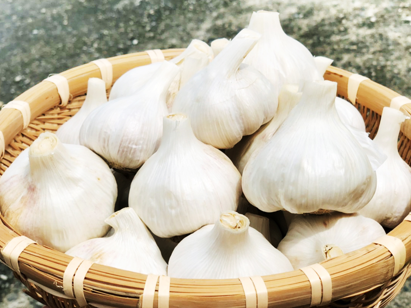 平戸にんにく　3Kg ニンニク 種球 平戸 500g / にんにく ニンニクの種 にんにくの
