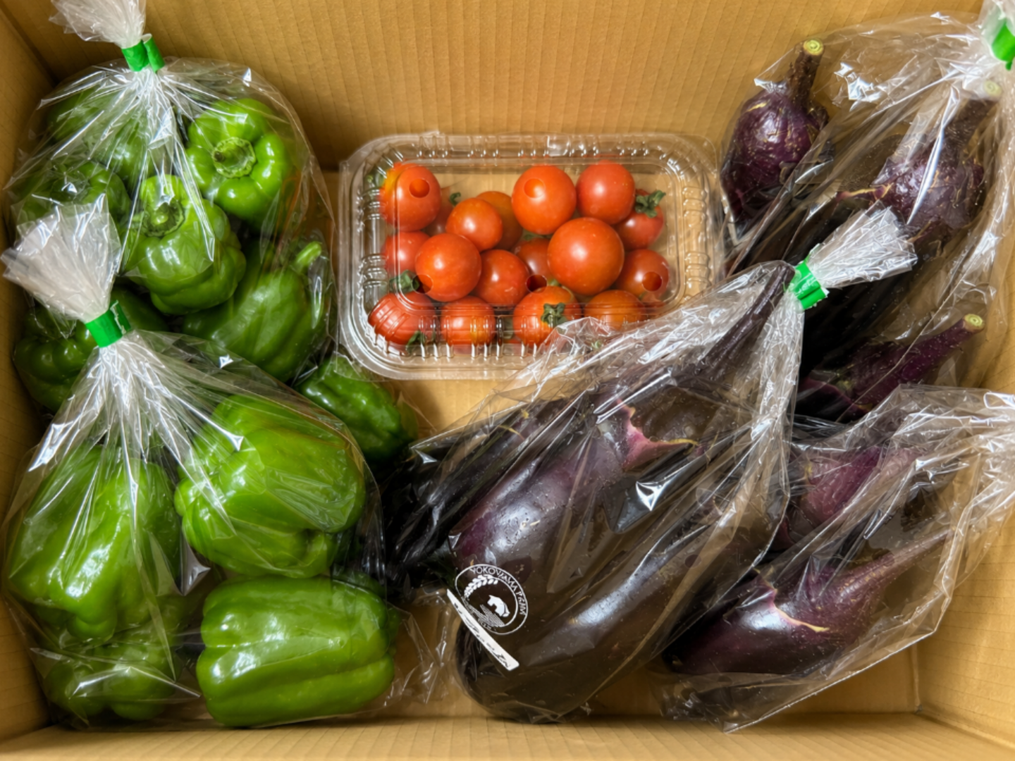 超貴重！固定種野菜セット ナス1kg+ピーマン 0.6kg+ミニトマト0.4kg
