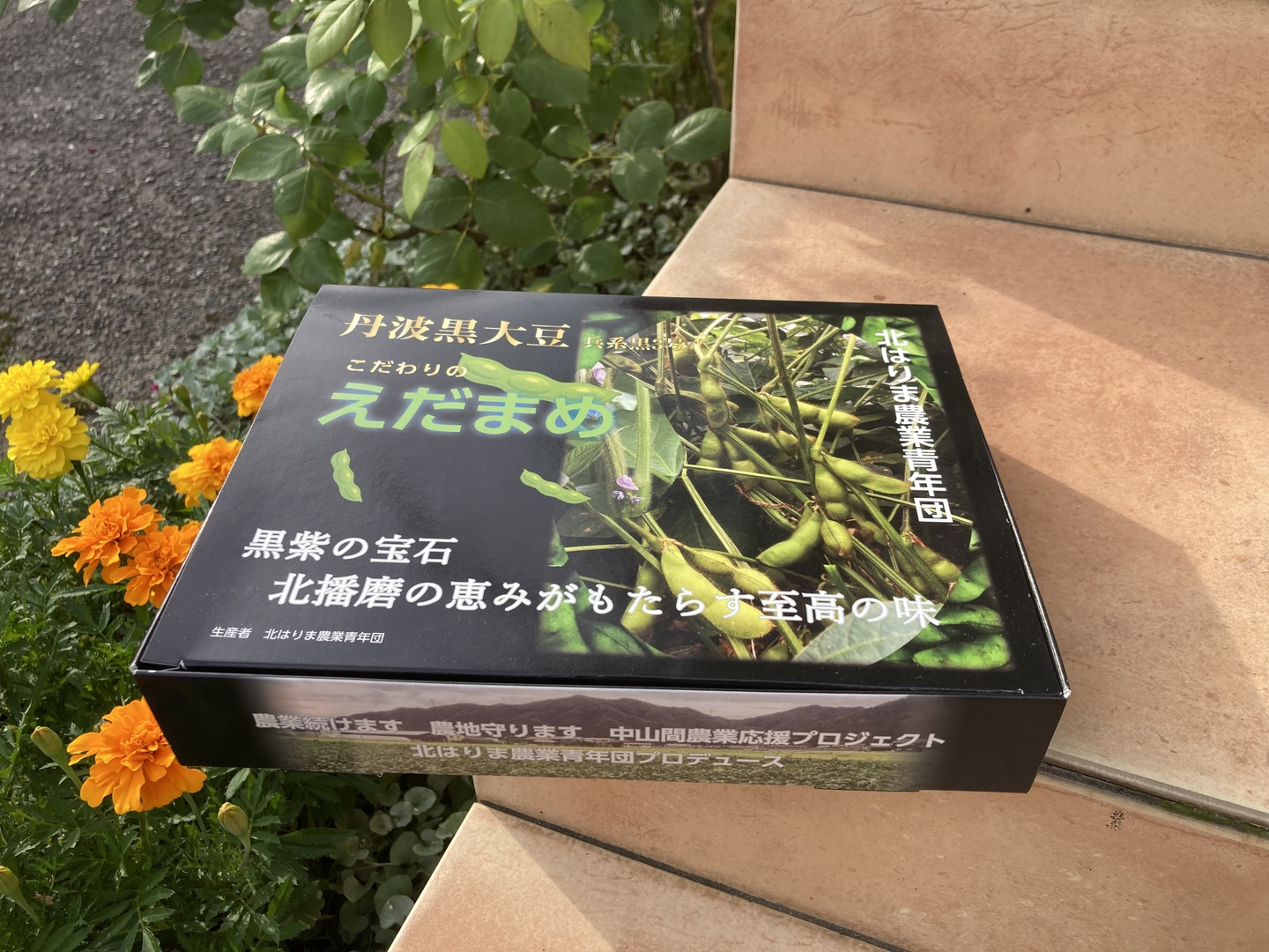 くろまめさま専用