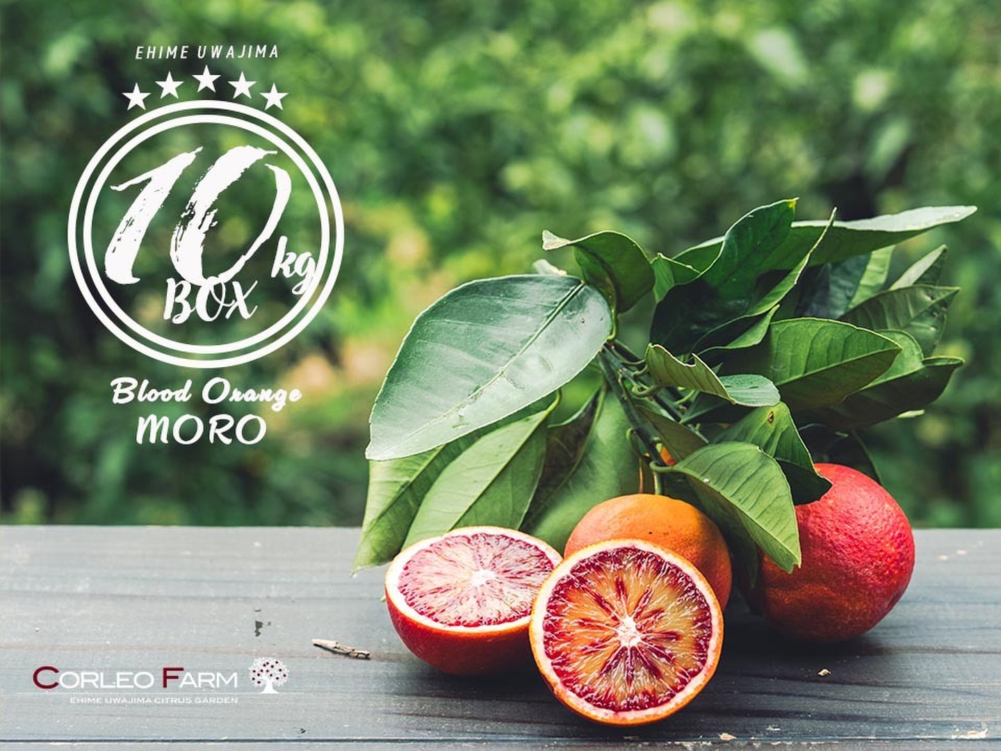愛媛県産　モロ　ブラッドオレンジ　柑橘　15kg ブラッドオレンジ「モロ」 2026年発送予約！！ 15kg：愛媛県産
