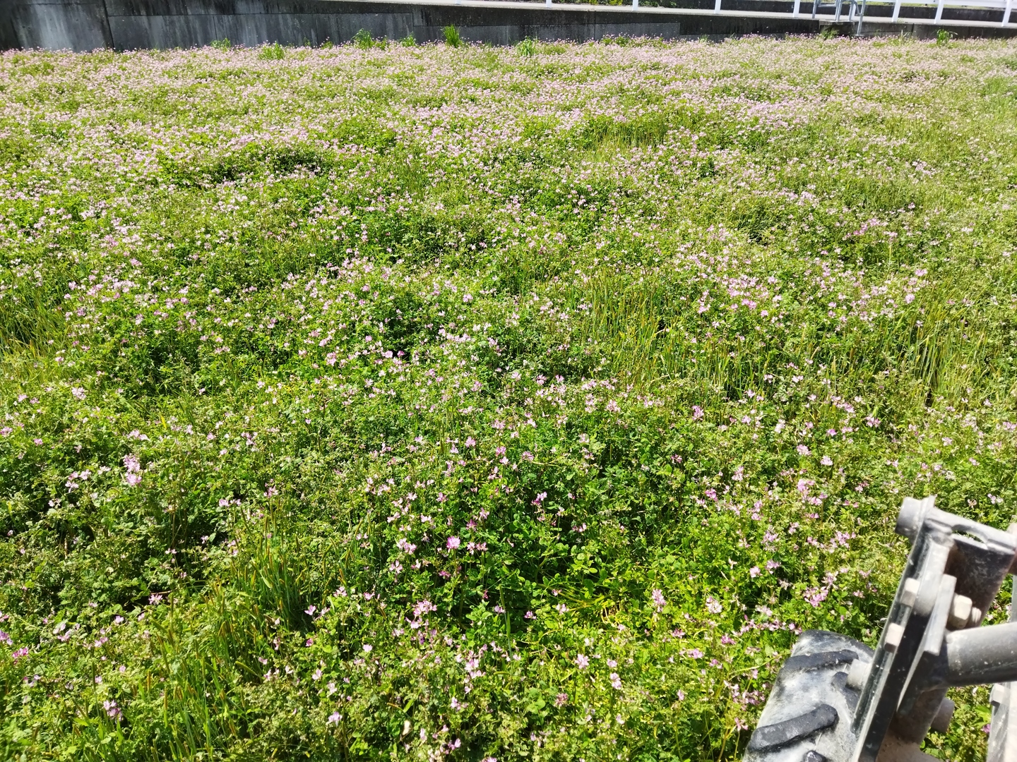R6 愛媛県産にこまる 白米 18キロ
