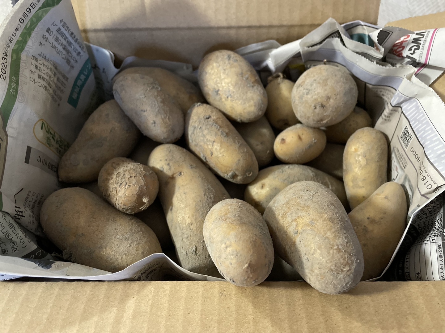 北海道　熟成じゃがいも　　ホクホクメークインSM20kg ジャガイモ　旨い！ 楽天市場】【予約】 北海道産 新じゃが じゃがいも メークイン