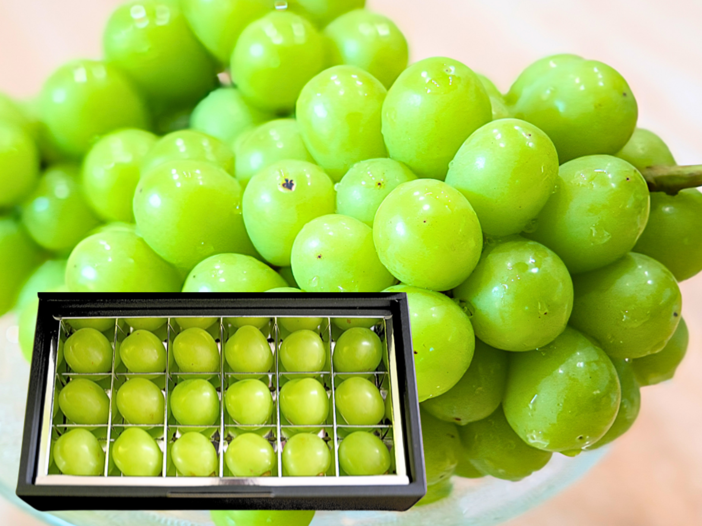 長野県産シャインマスカット 粒