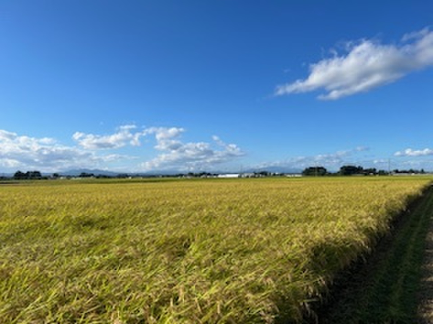 e1c688a3bbbd99daa34e958eb479bc