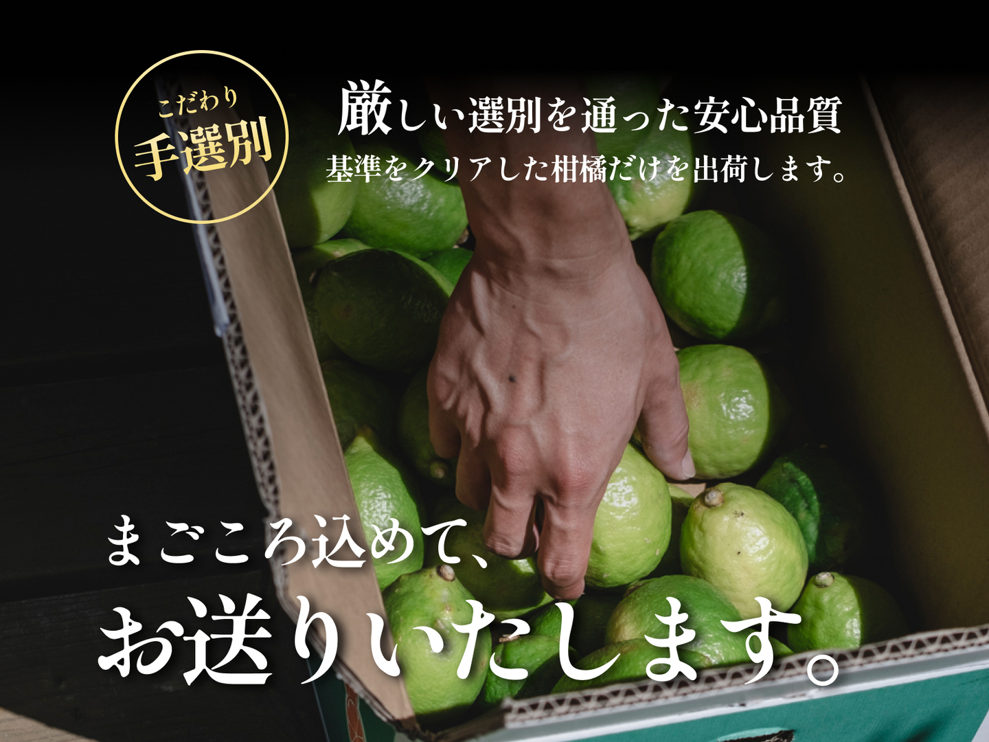 皮まで食べられる】グリーンレモン 3kg（愛媛県産・ご家庭用）｜防腐剤