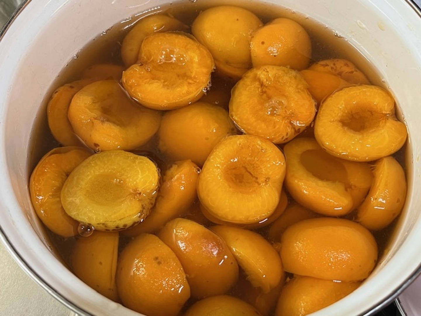 限定一箱】自然栽培の杏（あんず）生食・加工用3kg（品種・信州