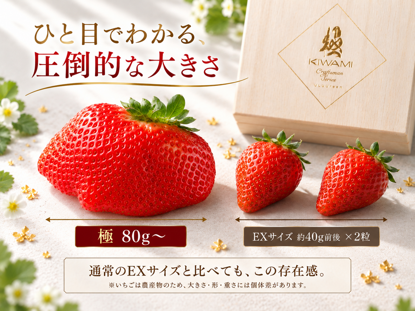 予約販売 2026年11月下旬～順次発送】特大あまおう苺「極」80g ギフト