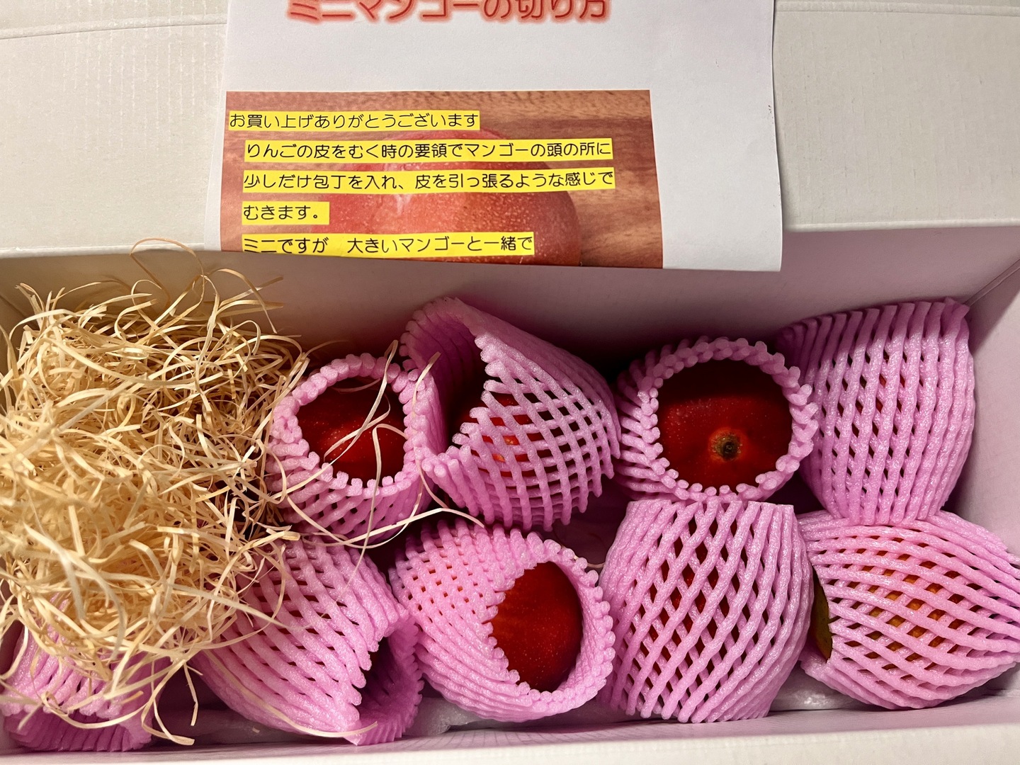 ミニマンゴー 南国鹿児島県産 濃厚ミニマンゴー（約800g）7～10個入り【贈答