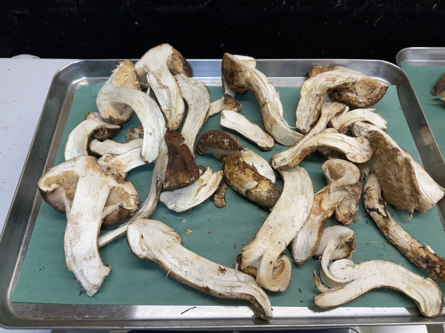 No.19長野産松茸、傷物、100㌘単位 松茸 国産 100gの通販