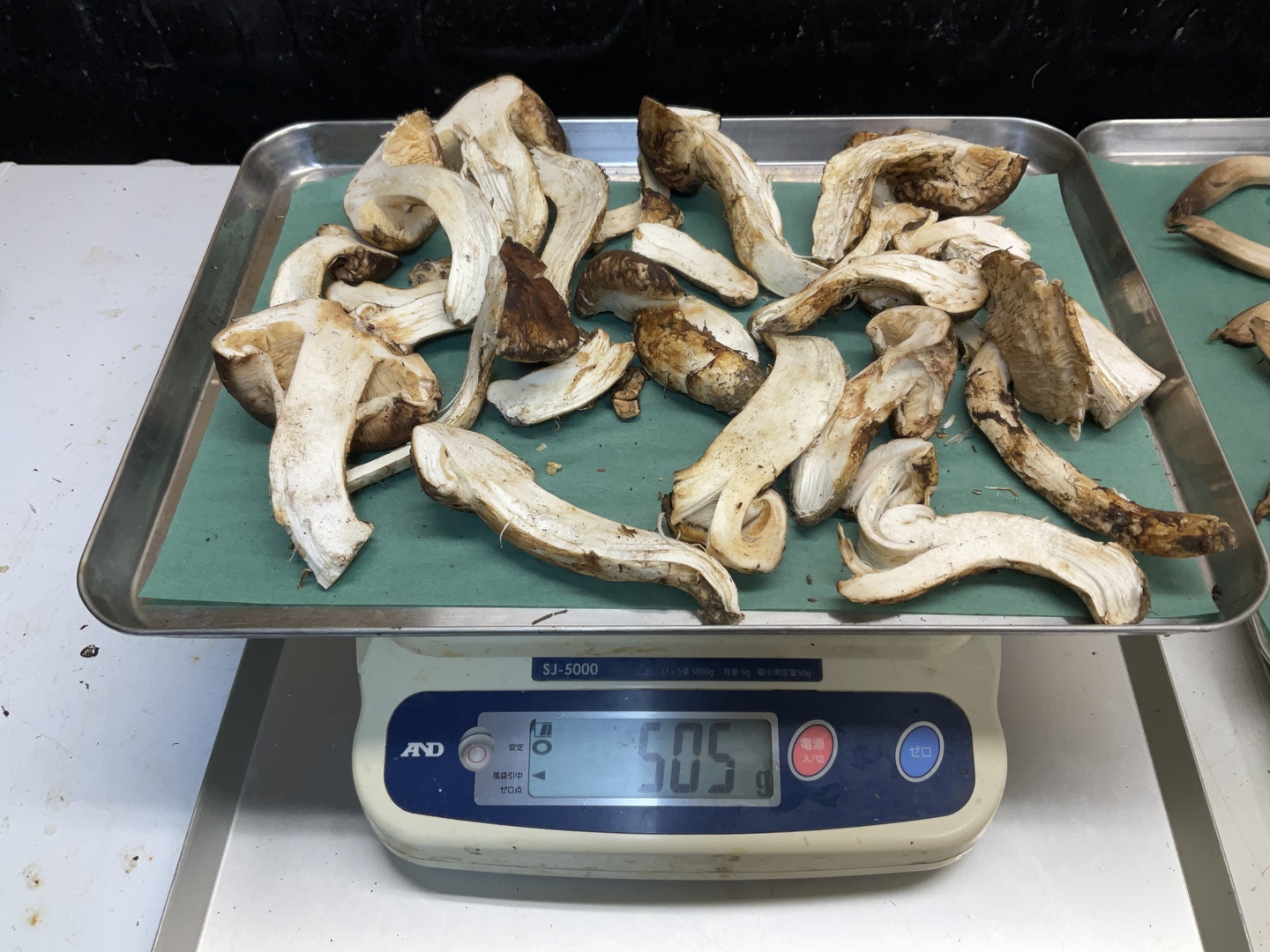 超お買い得】国産松茸/割き/サイズバラ/虫がいると思いきやいなかった