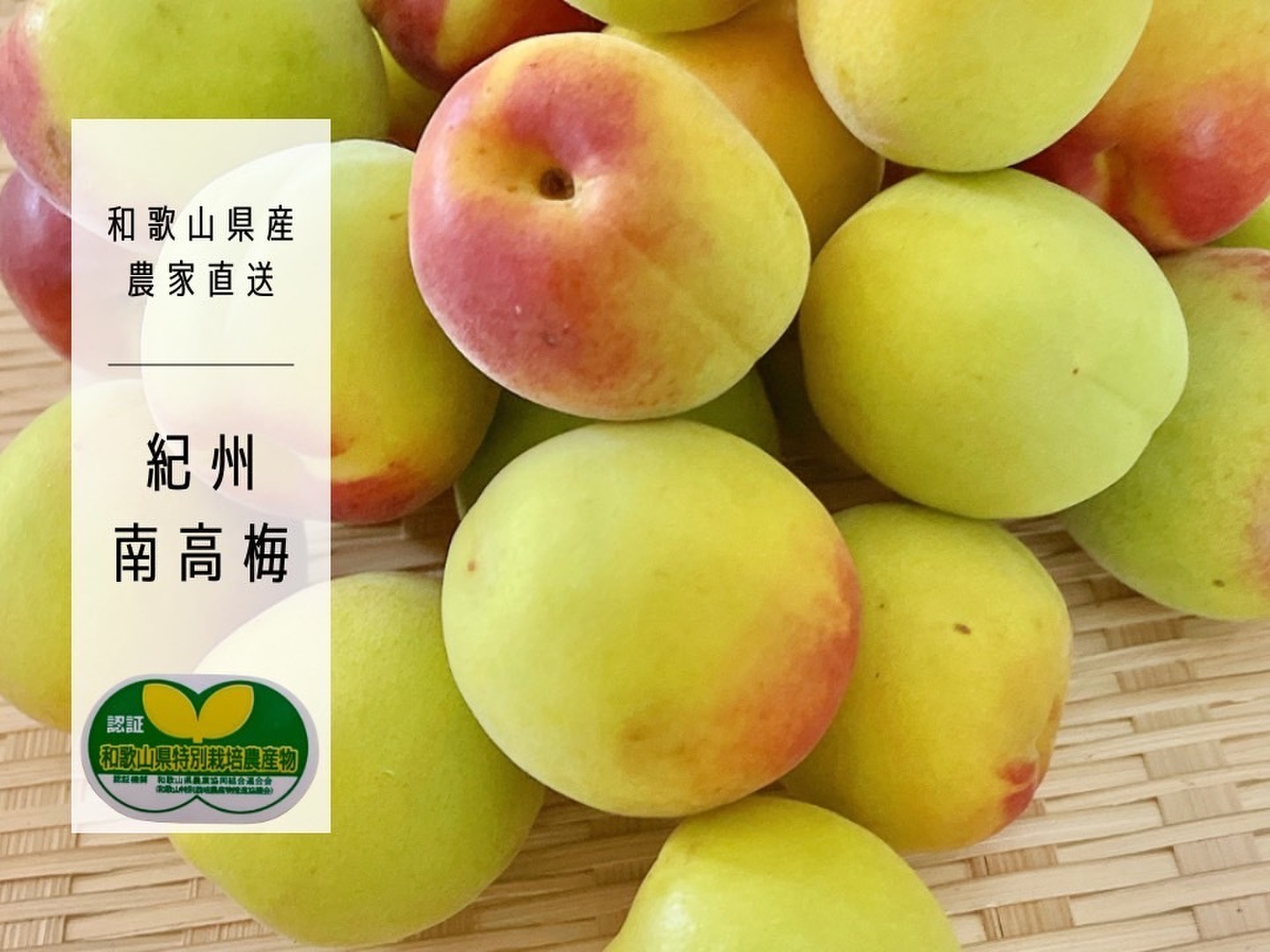 紀州 生南高梅 熟青梅3Lサイズ優品 | おいしく食べて和歌山モール