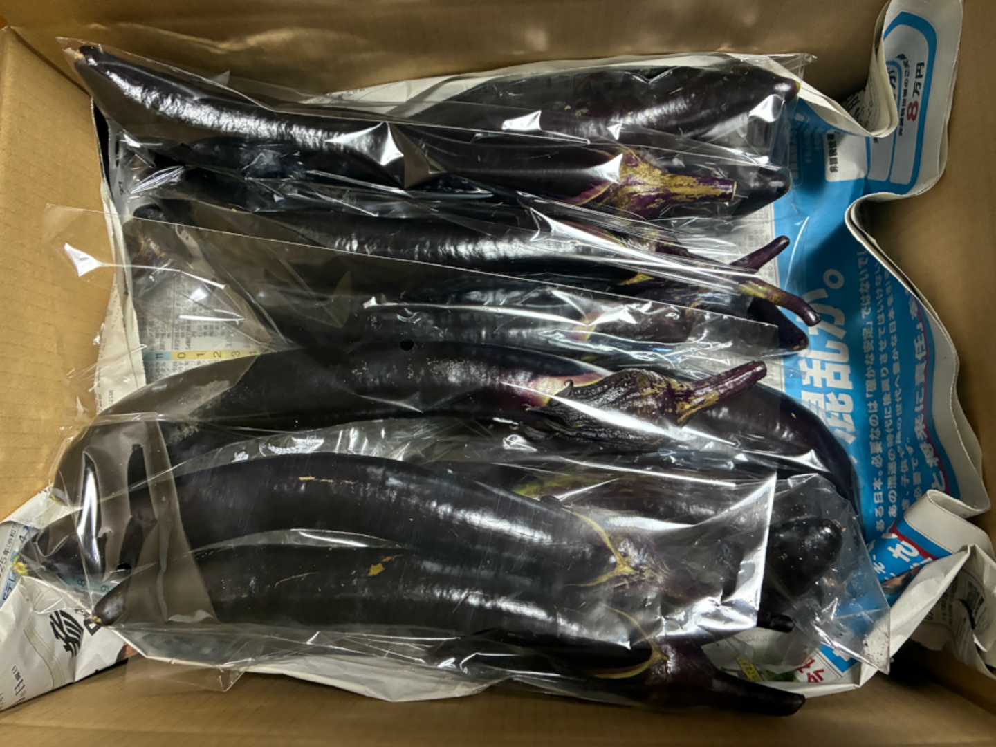 土曜出荷：出荷先制限】やわらか長ナス『新長崎長茄子』 (12本程度