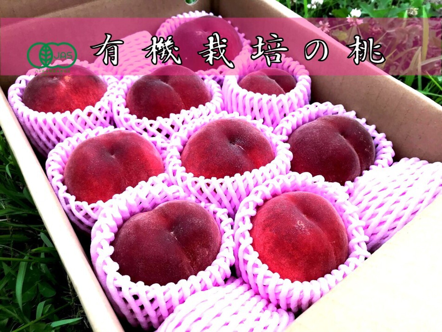 ⭐︎沖縄クール便専用⭐︎山梨県産桃 秀品5kg箱詰め ⭐︎沖縄クール便専用⭐︎山梨県産桃 秀品5kg箱詰め