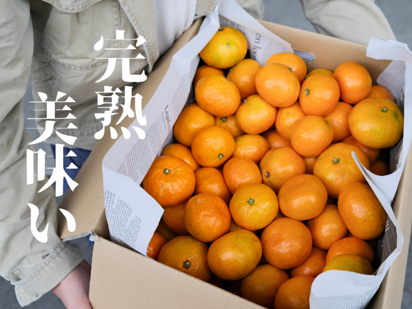 5kg)最高の早生みかん「興津早生みかん』A品：広島県産のみかん