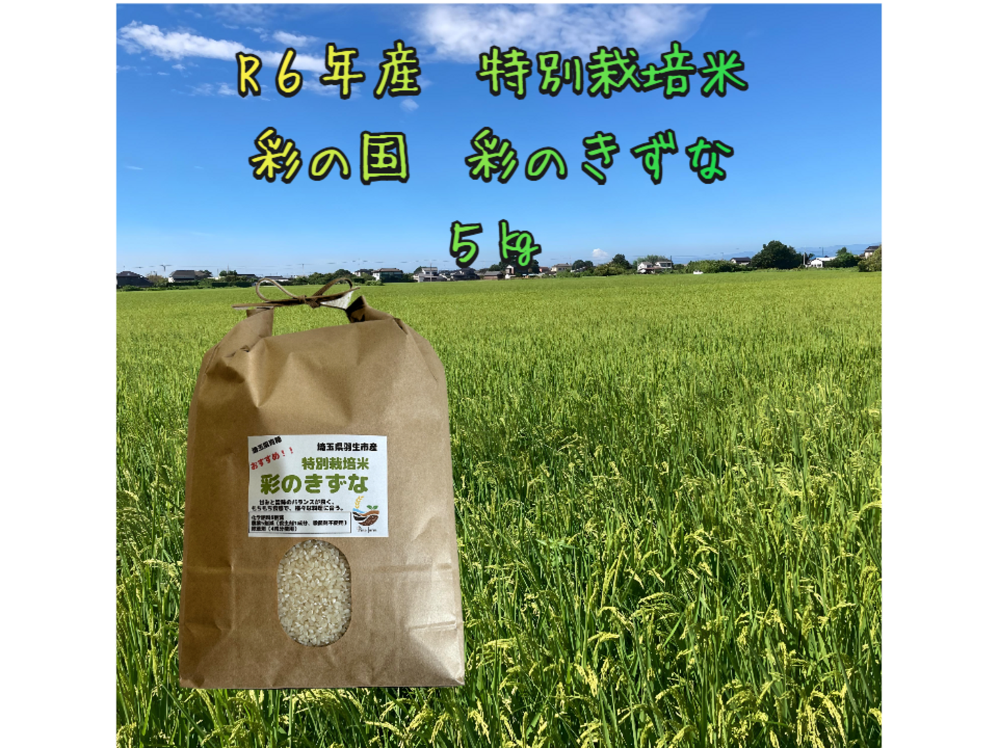爽やかな甘みともっちりなめらかな食感 R6年産 特別栽培米彩の