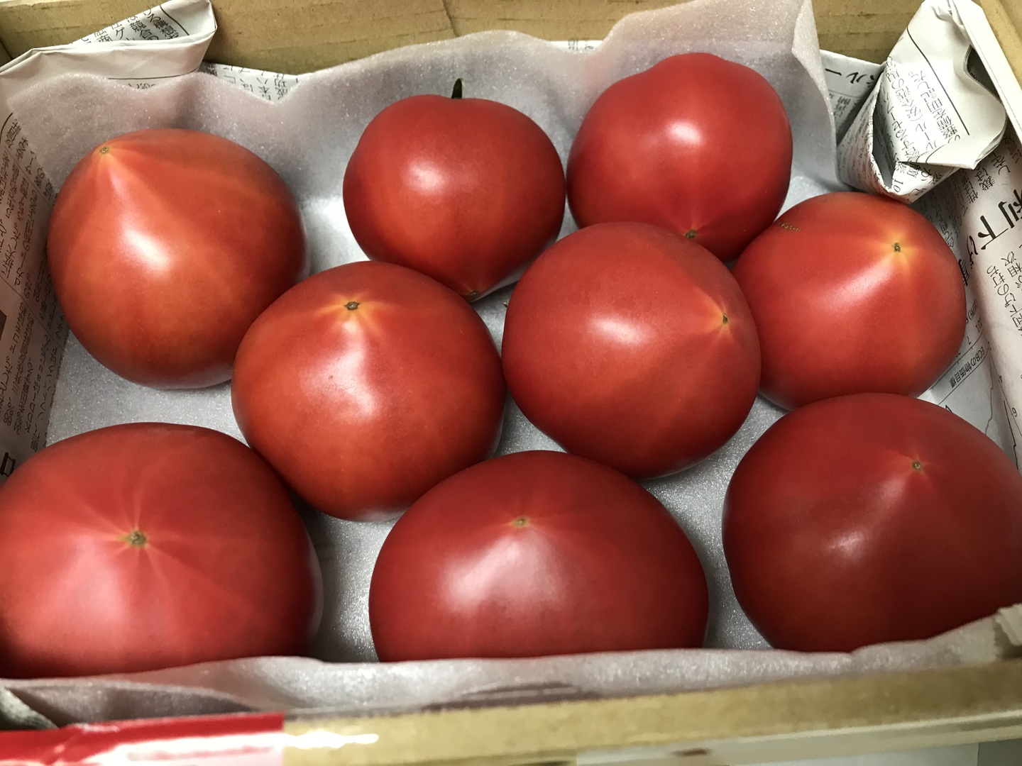 セール】朝採り完熟トマト(規格外)：長野県産のその他トマト｜食べ