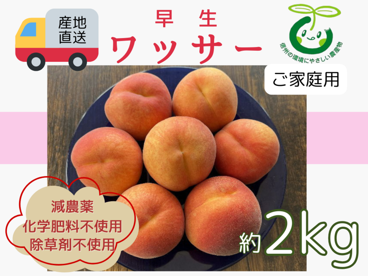 85 早生ワッサー家庭用5キロ 海谷さんちの長野県中野市産 早生ワッサー 5kg