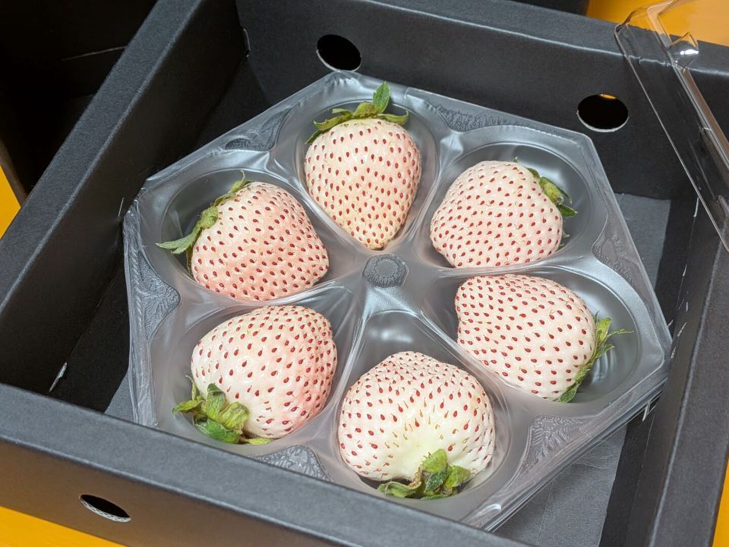食品 〈長野県産〉白いちご 約600g ☆クール便送料込☆
