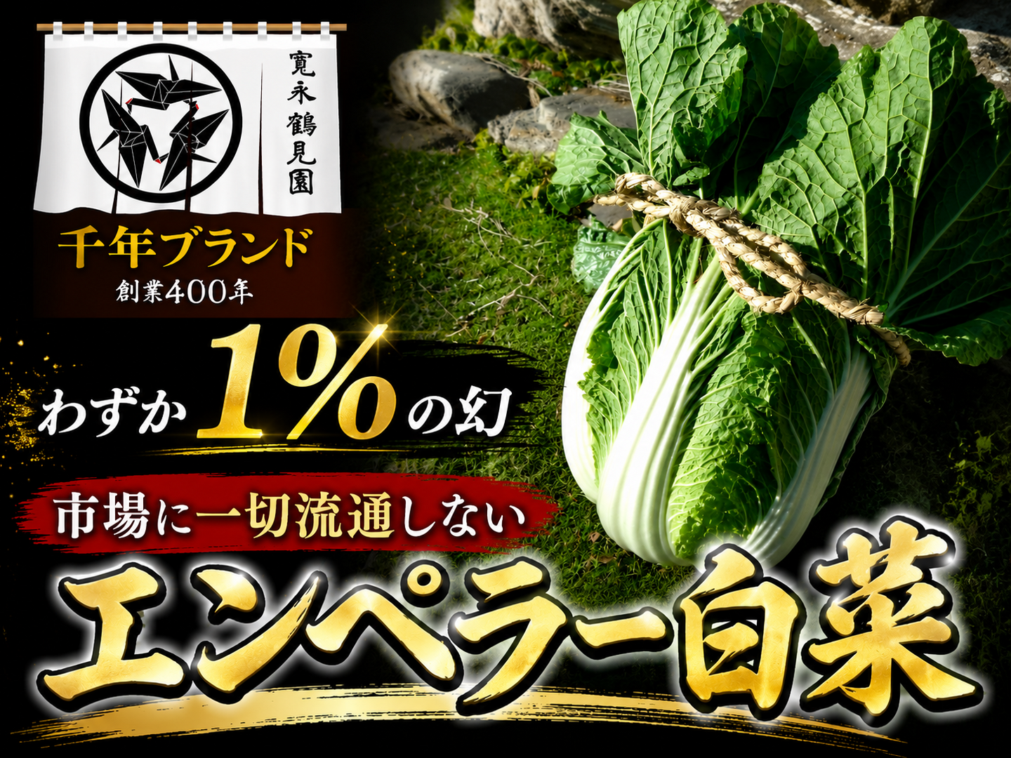 ヒルナンデス出演】一般市場に流通しない『幻のエンペラー白菜』400年