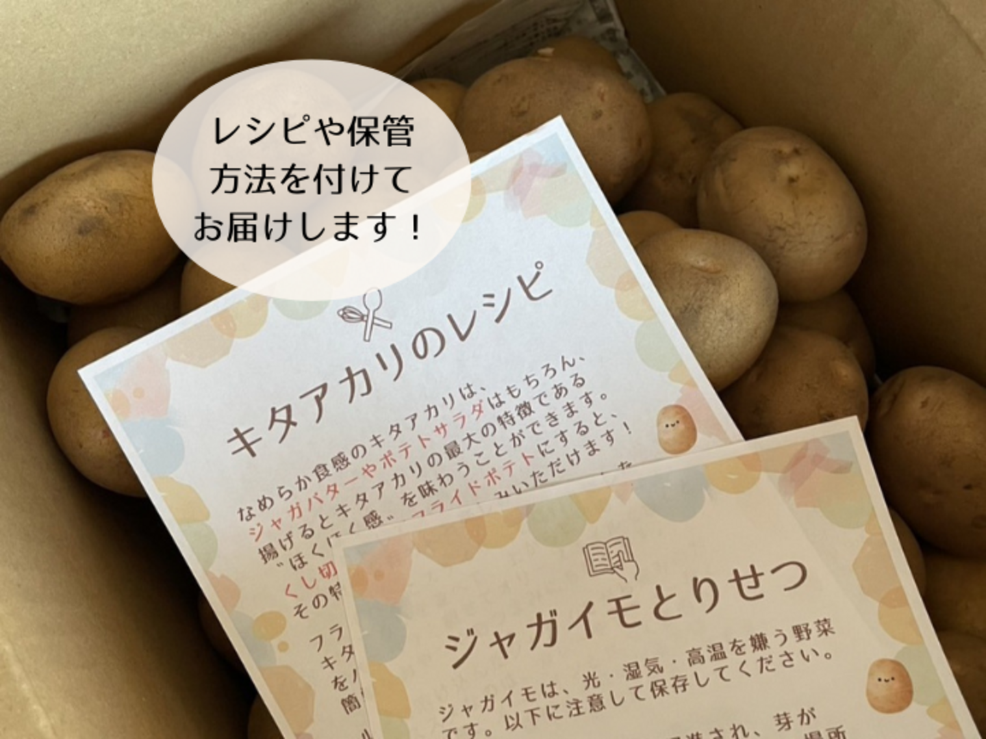 新ジャガ】キタアカリ2kg弱（M/Lサイズ混合お任せセット