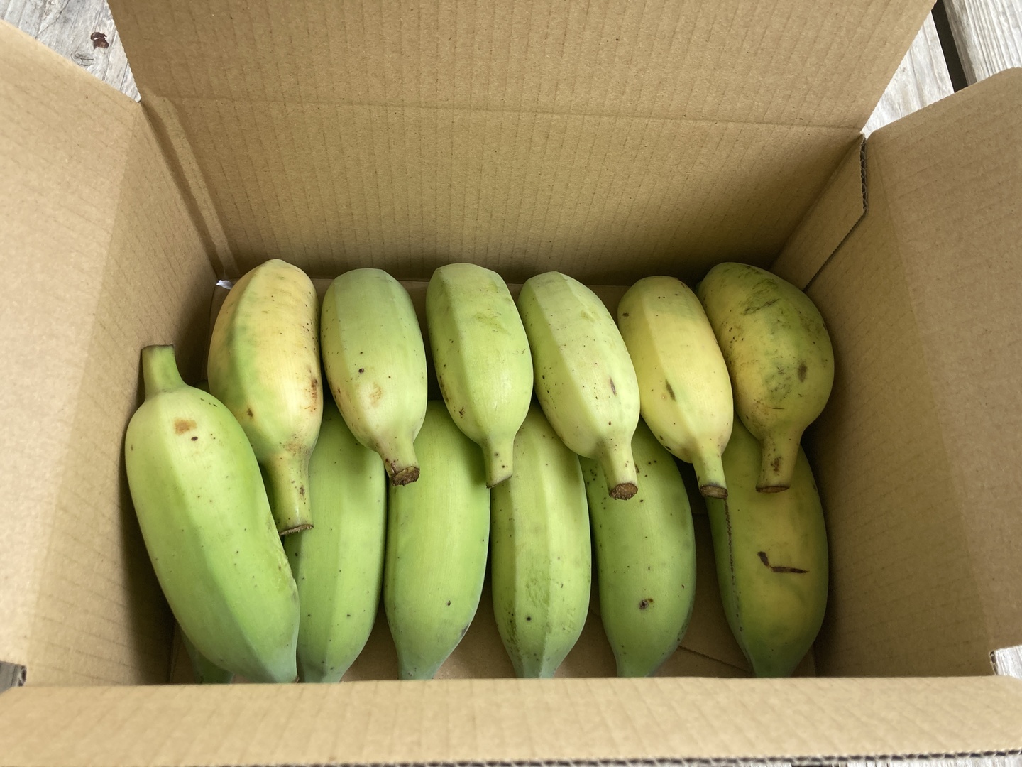 正規激安 美味しさ再発見！「アップルバナナ」！！：沖縄県産のその他 野菜