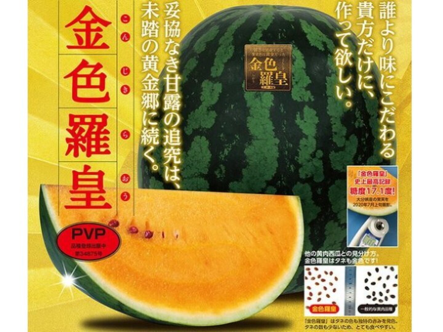 予約受付】尾花沢すいか『金色羅王』Lサイズx2玉 糖度15度以上